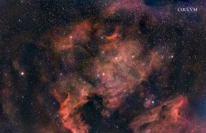 Nebulosa Nord America (NGC 7000) e Pellicano