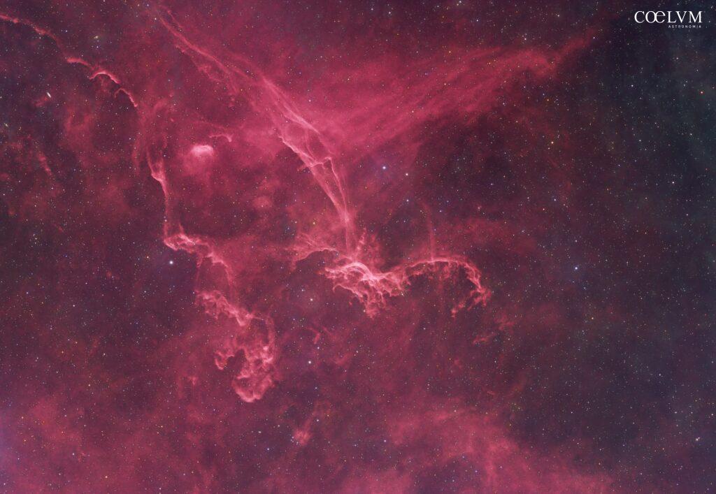 Sh2-114 Nebulosa Drago Volante