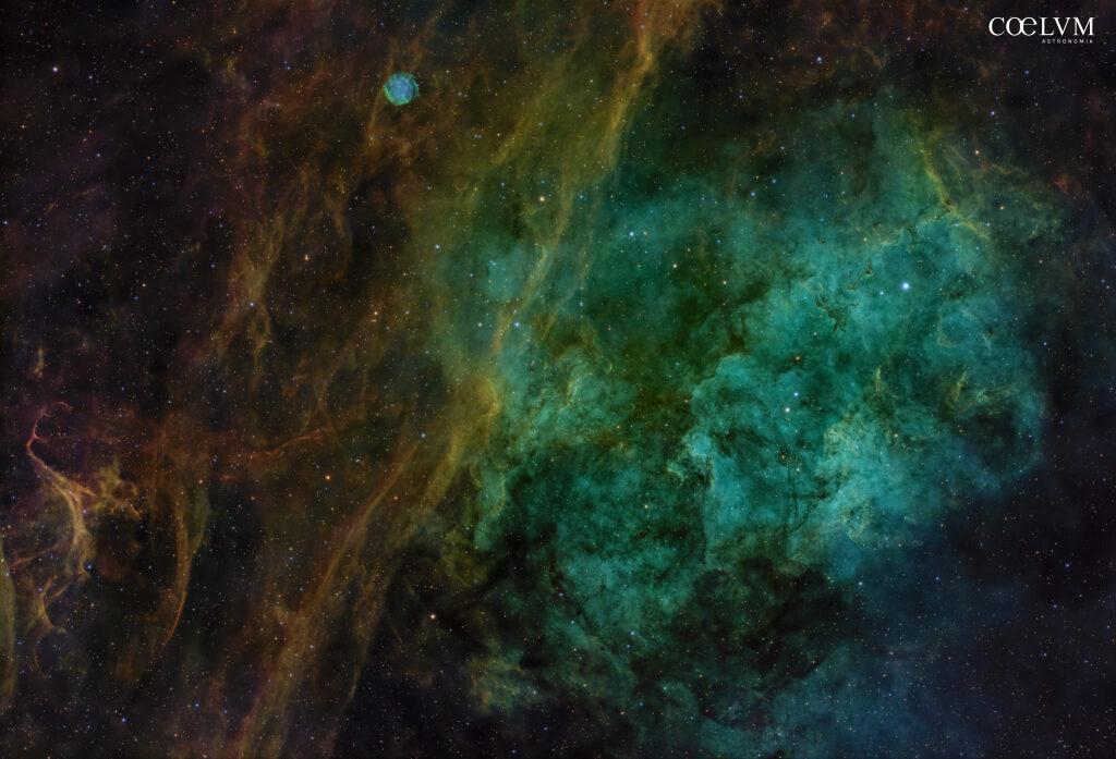Nebulose nel Cigno
