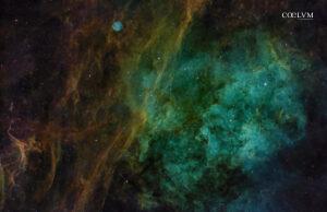 Nebulose nel Cigno