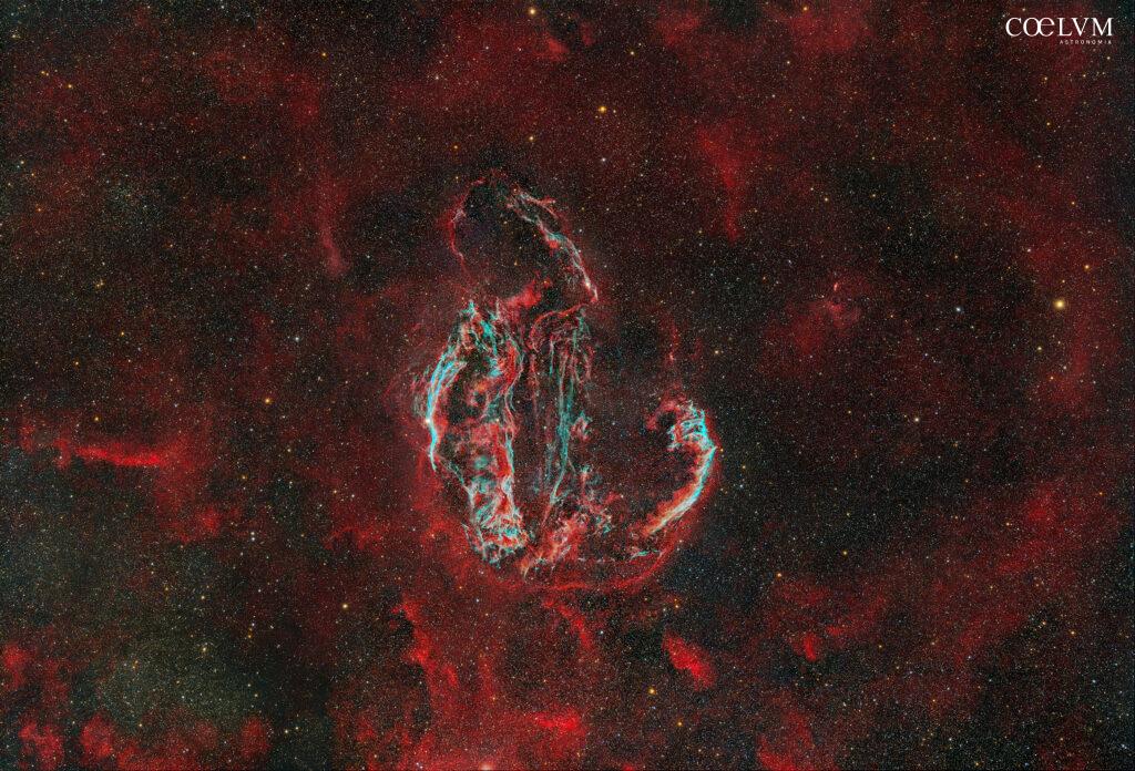 The Veil Complex
