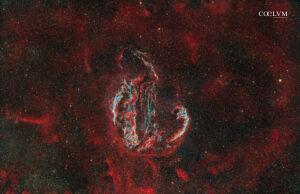 The Veil Complex