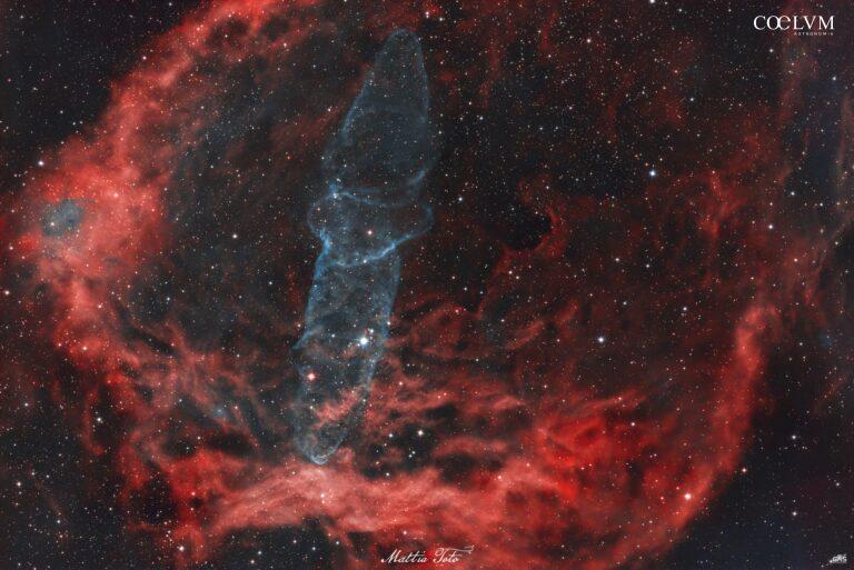 Sh2-129 e OU4 – La Nebulosa Pipistrello e il Calamaro cosmico