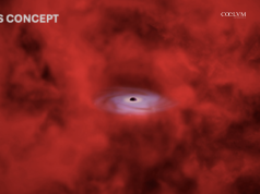 X-Ray Dot: un possibile ponte tra i Little Red Dots e i nuclei galattici attivi