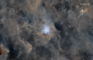 NGC 7023 – Nebulosa Iris e i fantasmi di Cefeo