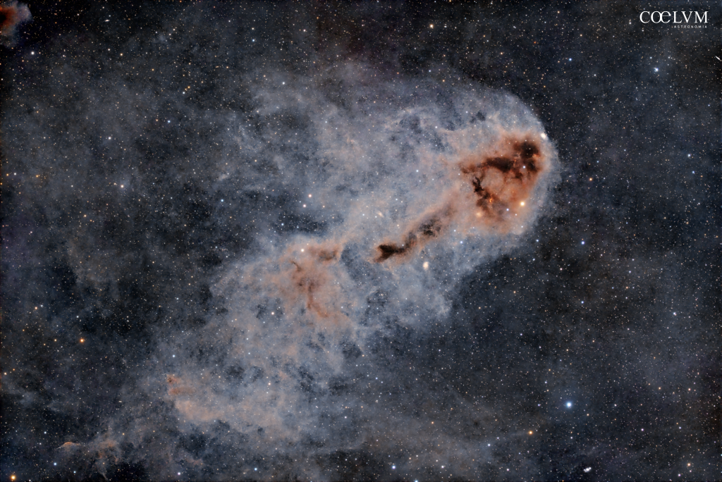 LBN 762 – “Pesce Marcio” (The Rotten Fish Nebula)