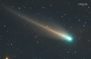 Polvere di stelle