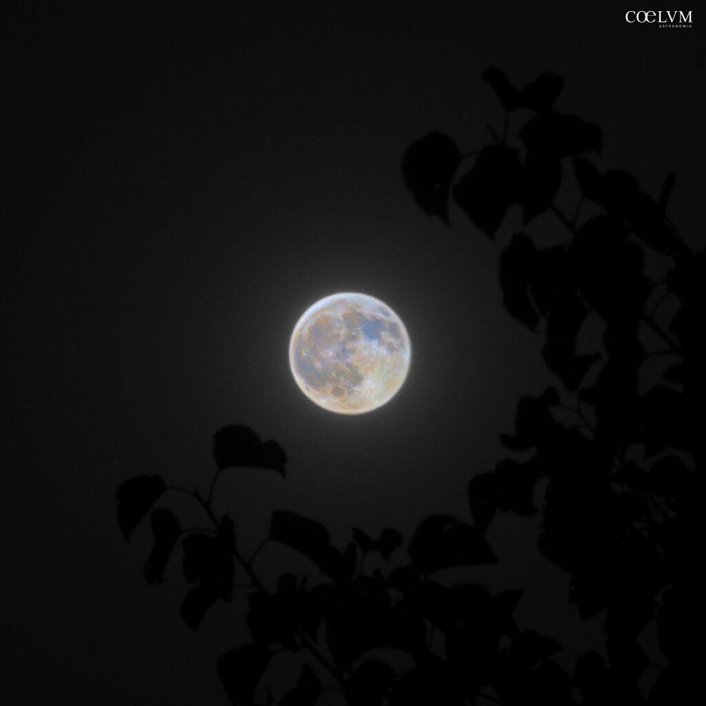 Luna minerale HDR tra le foglie di albicocco – Fucecchio (FI) 28 Agosto 2026