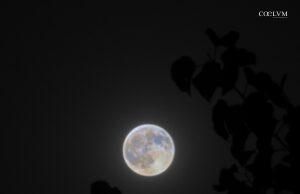 Luna minerale HDR tra le foglie di albicocco – Fucecchio (FI) 28 Agosto 2026