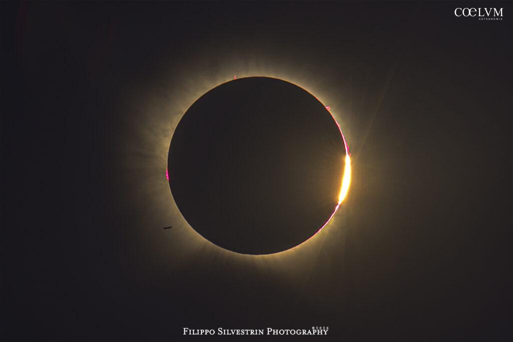 Fly Me to The Sun