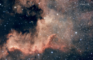 Nebulosa Nord America