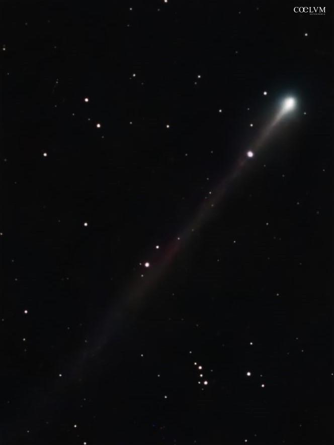 220P McNAUGHT 2026 Una Cometa ancora sorprendente.Una elaborazione dell’immagine già pubblicata.