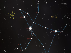 Il cielo dei desideri: come e quando osservare le Perseidi di metà agosto