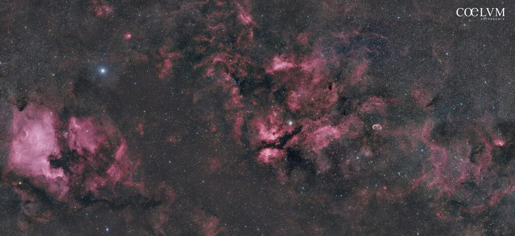 Mosaico Costellazione Cigno