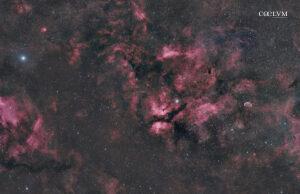 Mosaico Costellazione Cigno