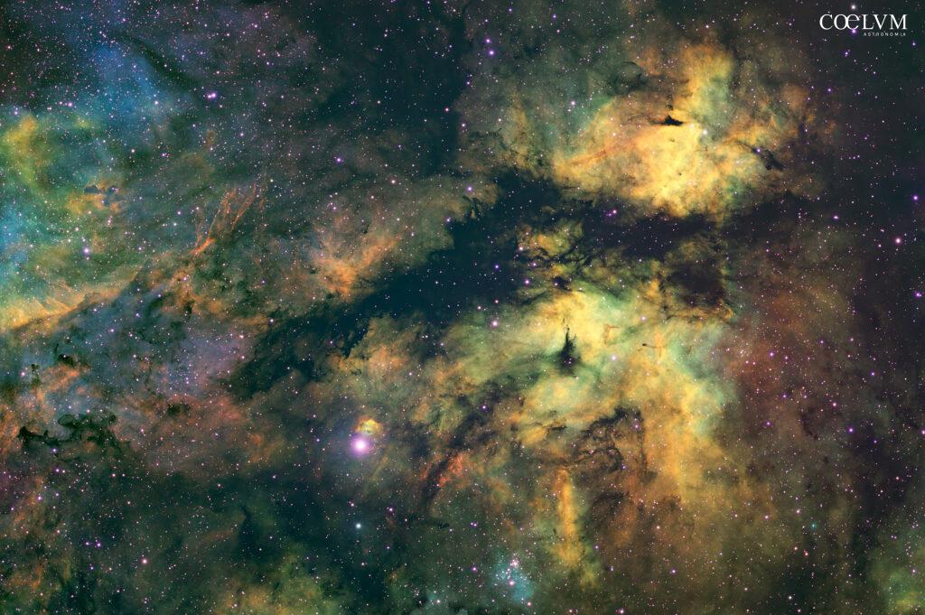 IC 1318 – Le ali della Via Lattea
