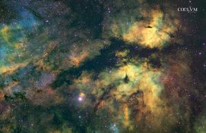 IC 1318 – Le ali della Via Lattea