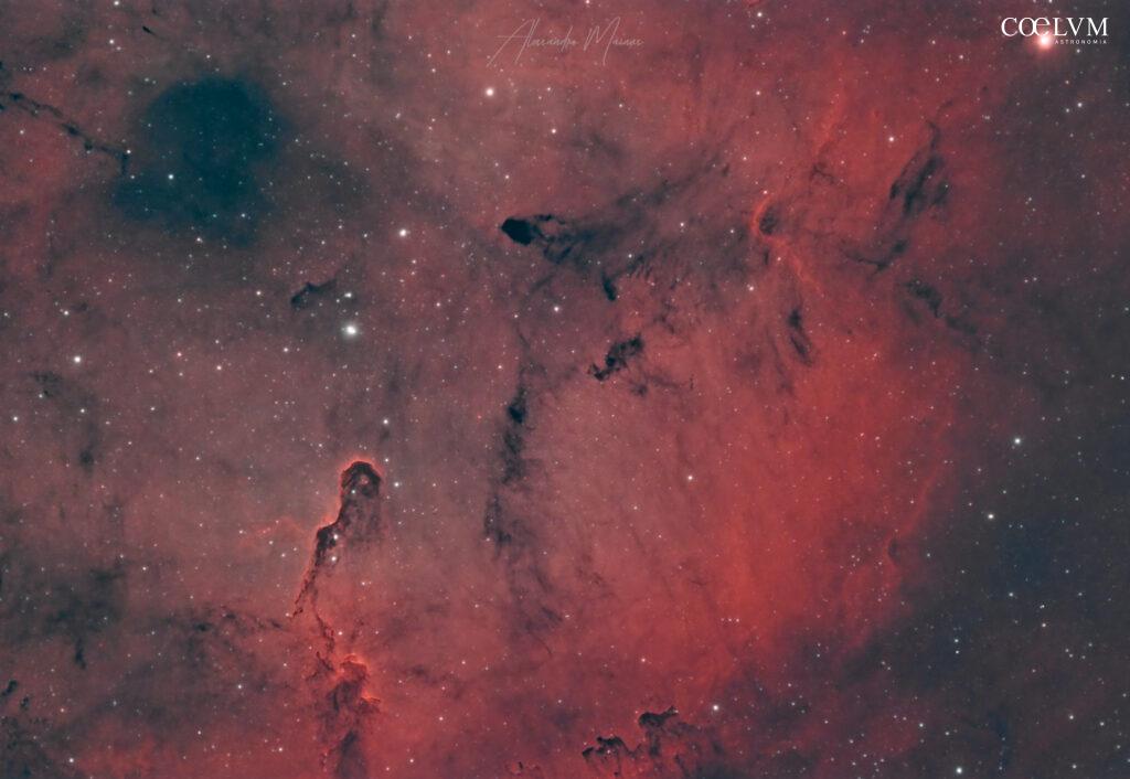 La Colonna di vdB 142 nella Nebulosa IC 1396