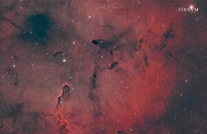 La Colonna di vdB 142 nella Nebulosa IC 1396