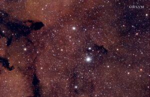 Nebulosa Proboscide di elefante
