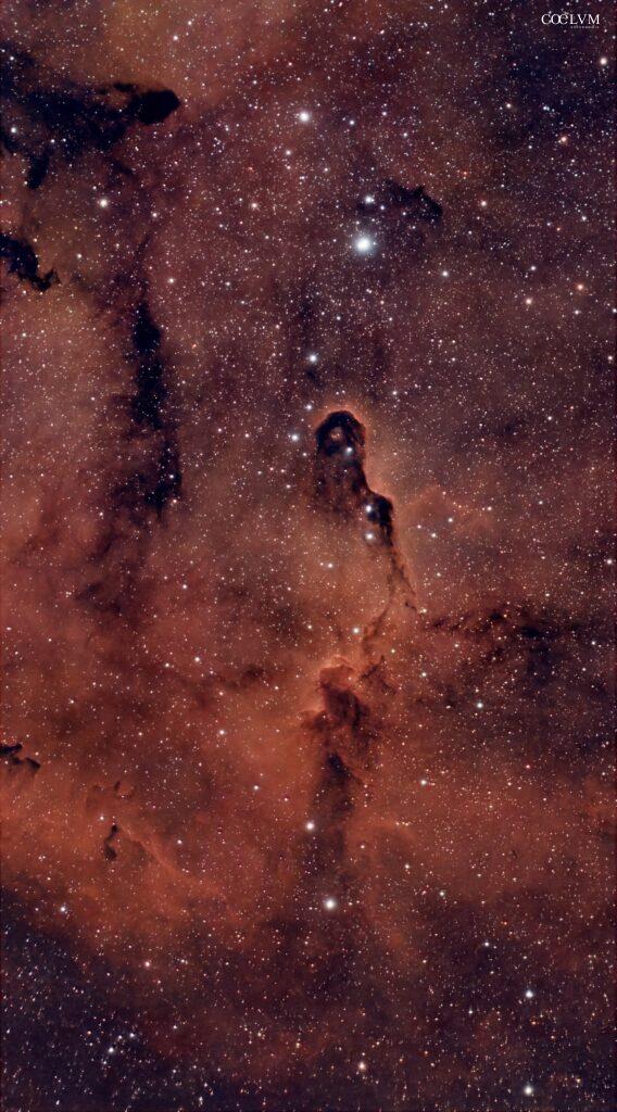 Nebulosa Proboscide di elefante