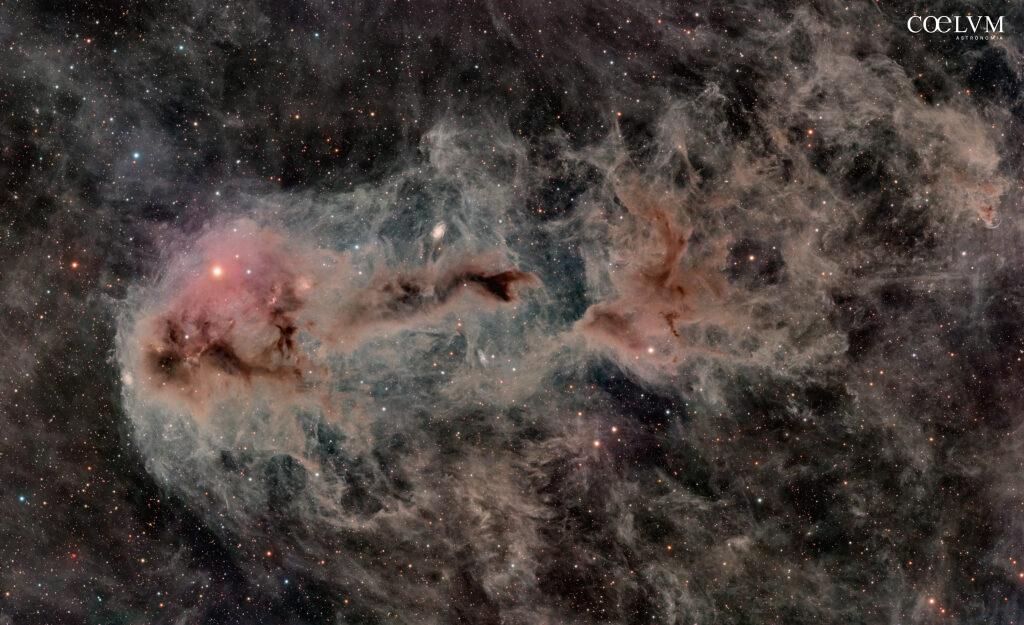 LDN 1251 — Rotten Fish Nebula
