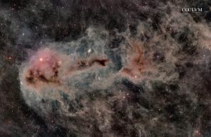 LDN 1251 — Rotten Fish Nebula