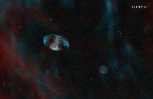 Due particolari nebulose planetarie nel Cigno