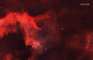 NGC 7000 – LA NEBULOSA NORD AMERICA