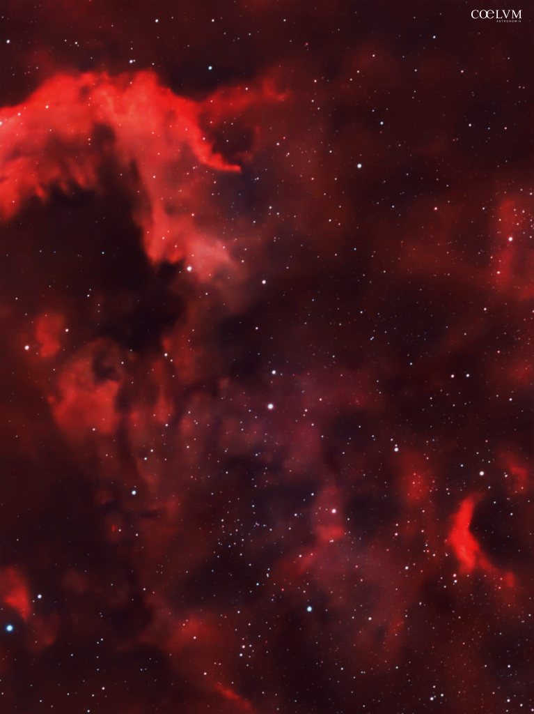 NGC 7000 – LA NEBULOSA NORD AMERICA