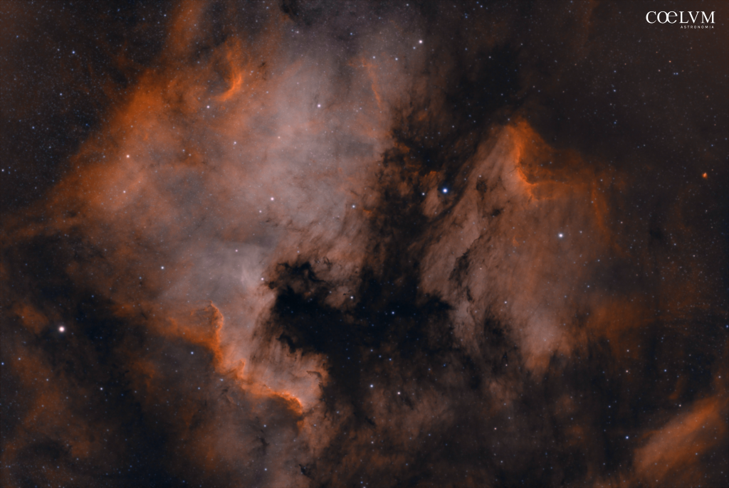 NGC7000