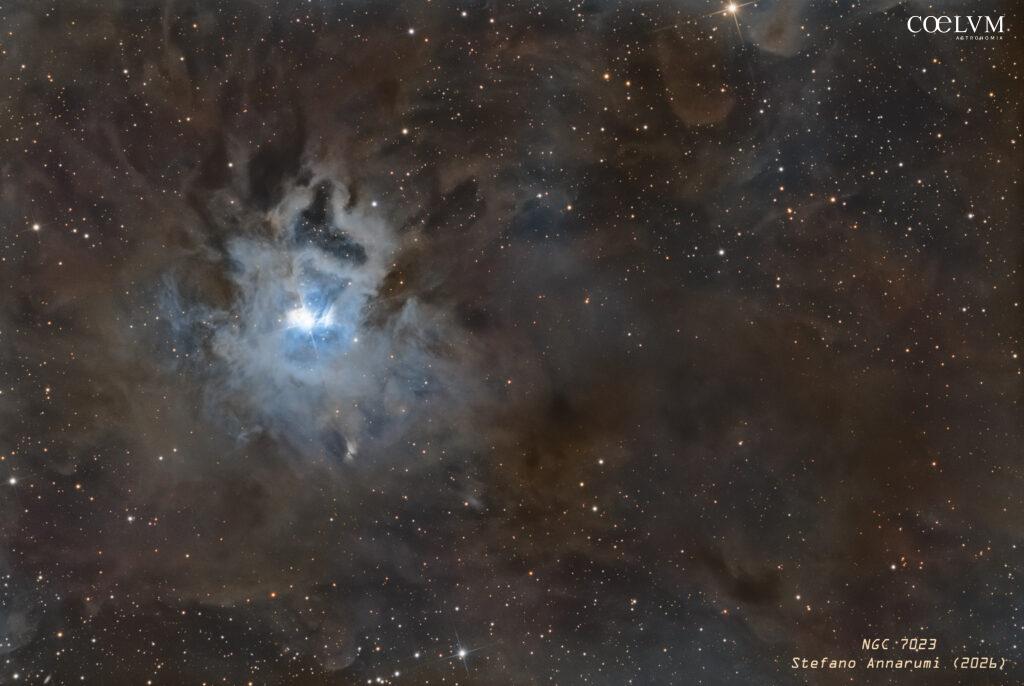 NGC 7023, una Gemma nella Polvere