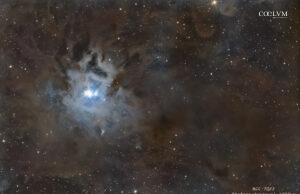 NGC 7023, una Gemma nella Polvere