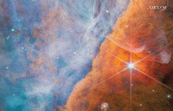 Creazione e Distruzione in Orione