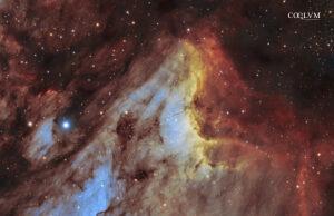 NEBULOSA PELLICANO IC 5070