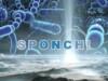 SPONCH! Gli elementi della Vita