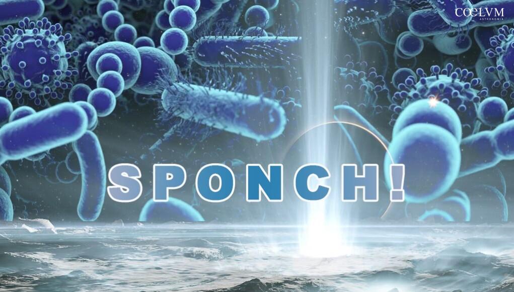 SPONCH_cover