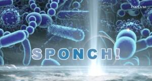 SPONCH! Gli elementi della Vita