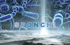 SPONCH! Gli elementi della Vita