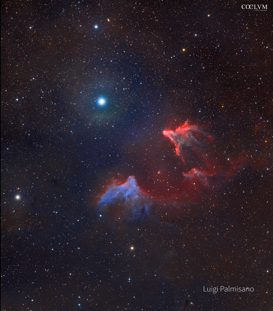 IC 63 e IC 59 – Fantasmi di Cassiopea – Ghost of Cassiopeia