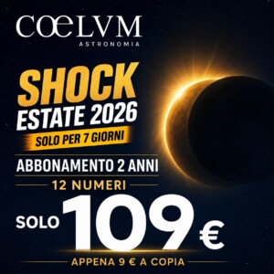 SHOCK ESTATE 2026