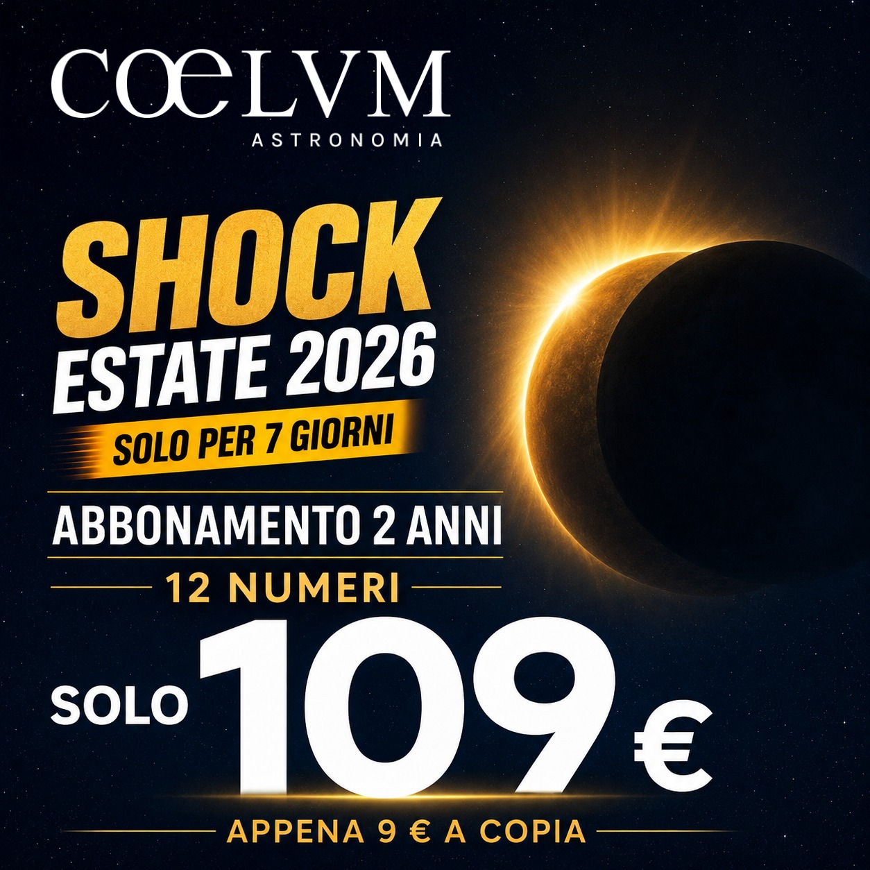 SHOCK ESTATE 2026