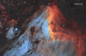 Pelican Nebula