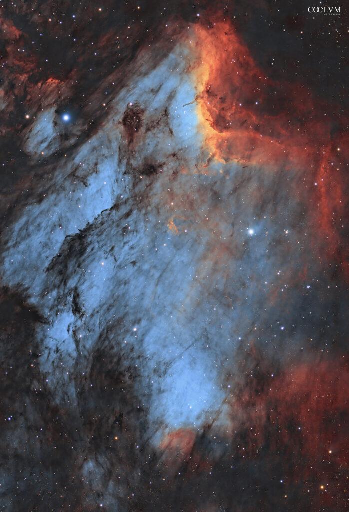 Pelican Nebula