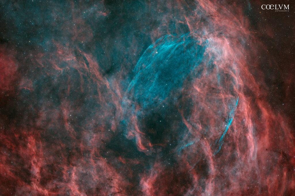 W63 – Una “fiamma blu” nascosta nel cuore del Cigno