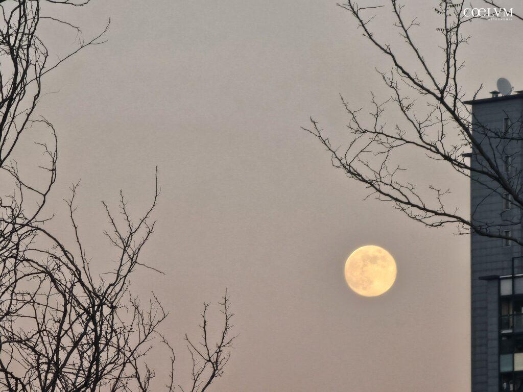 Luna Piena di Santo Stefano tra i rami