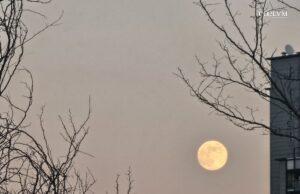Luna Piena di Santo Stefano tra i rami