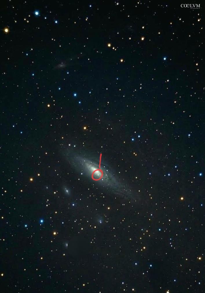 Supernova SN2026aaiv in NGC7331