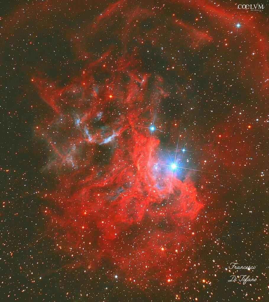 The flaming star nebula