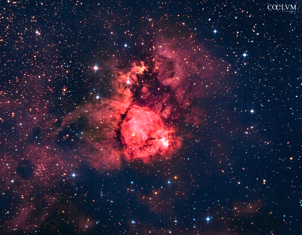 The Fish Haed…IC1795 un pesce Sapziale